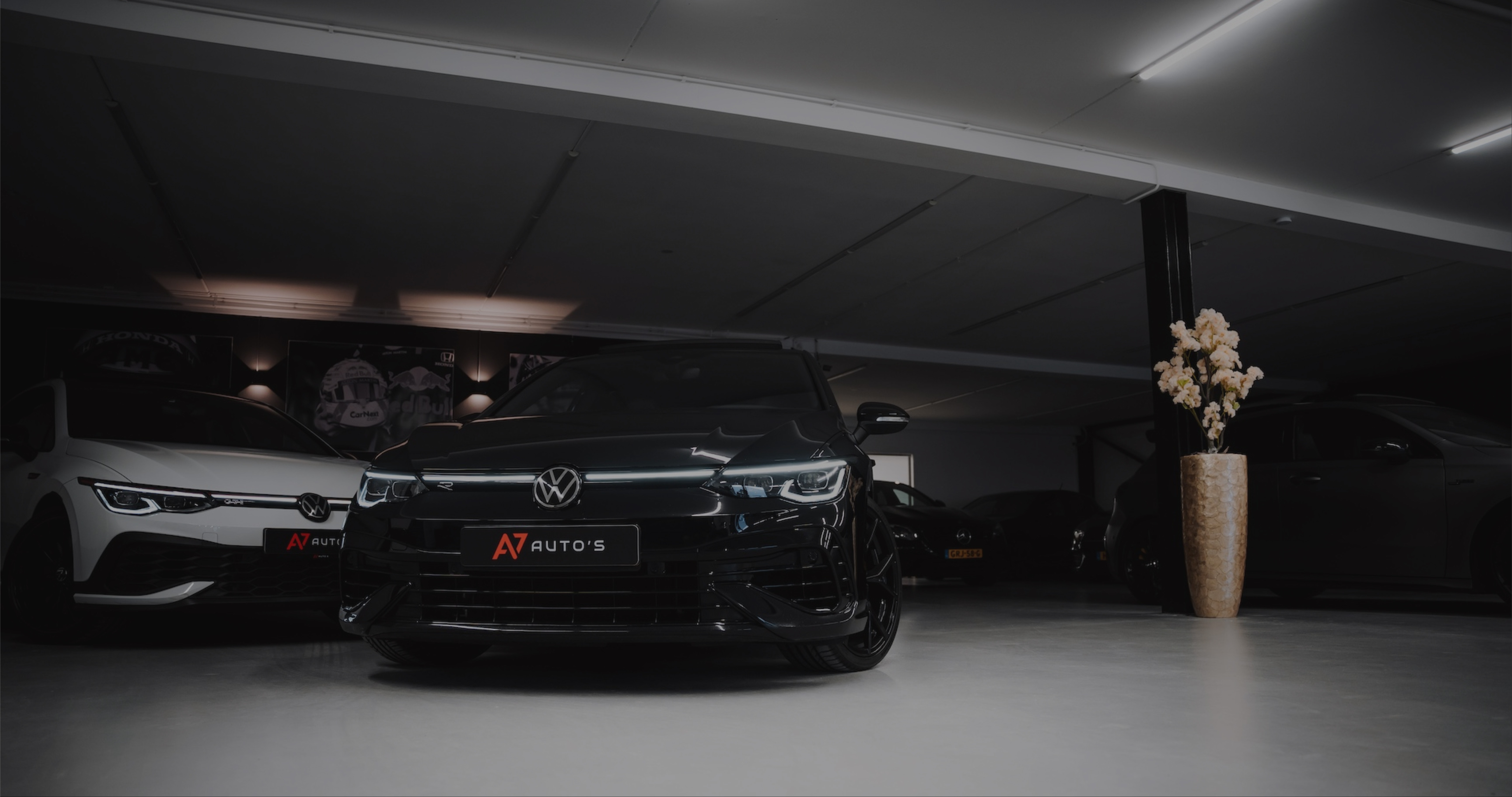 Header Image 0