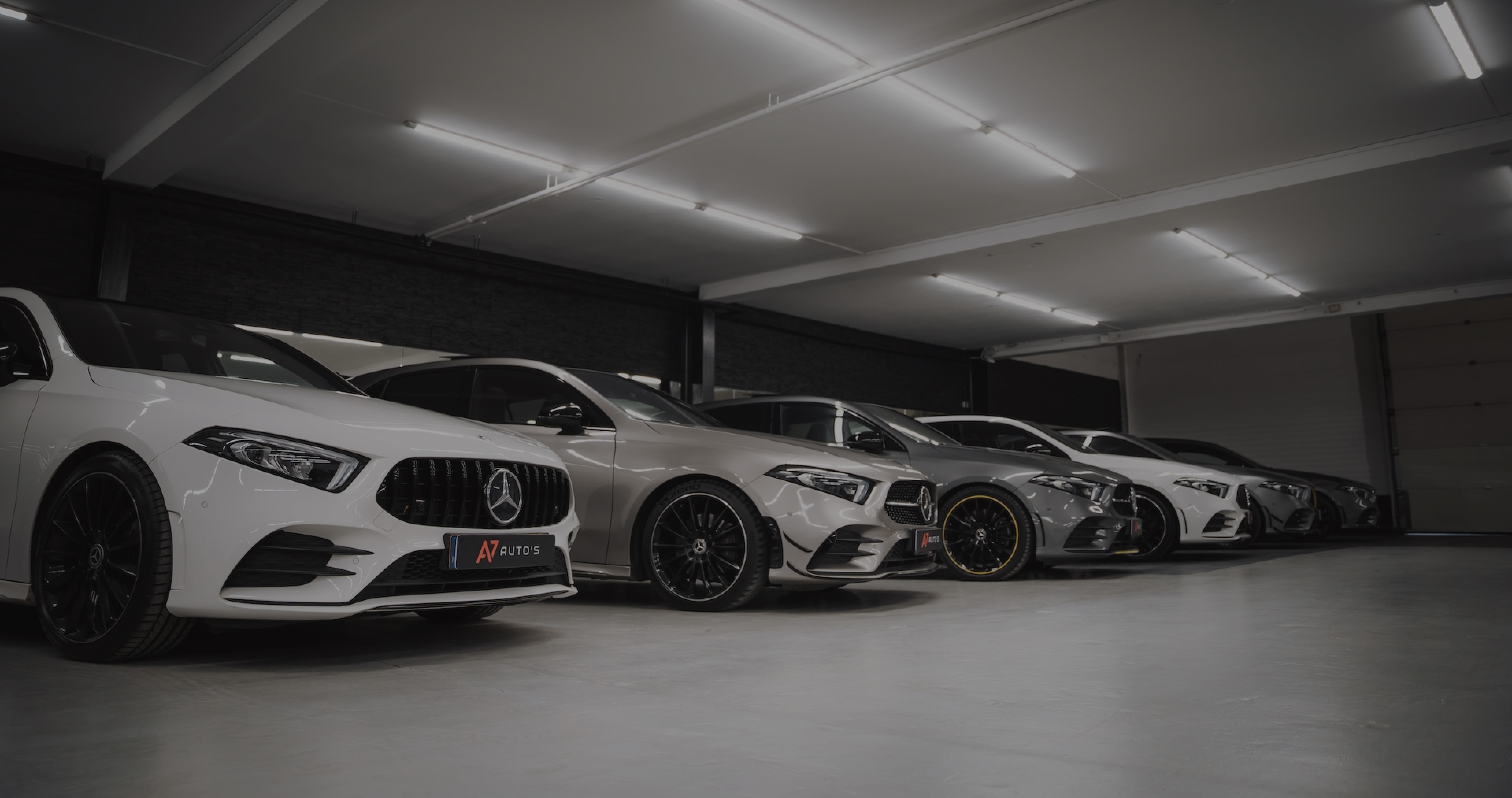 Header Image 3